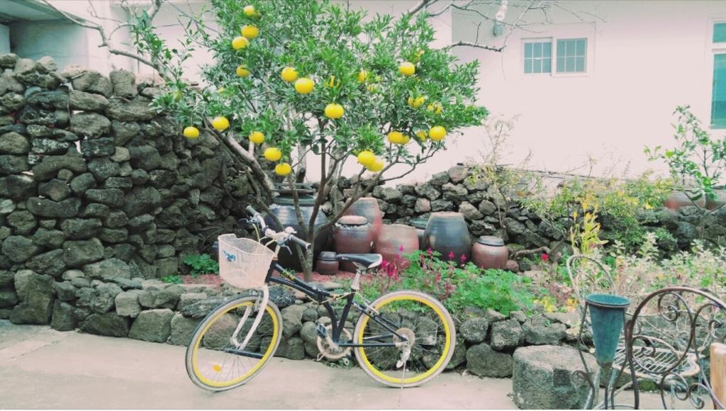 Jaun Guesthouse Seogwipo Luaran gambar